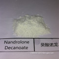Injectable Anabolic Steroid Nandrolone Decanoate For Fat Burning